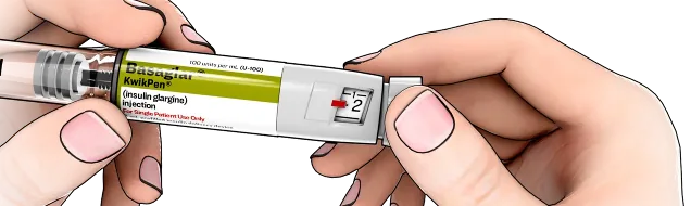 3D image of two hands holding a KwikPen, the right hand holding the dose knob and the left hand holding the cartridge.