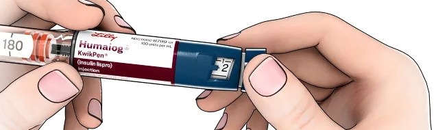 3D image of two hands holding a KwikPen, the right hand holding the dose knob and the left hand holding the cartridge.